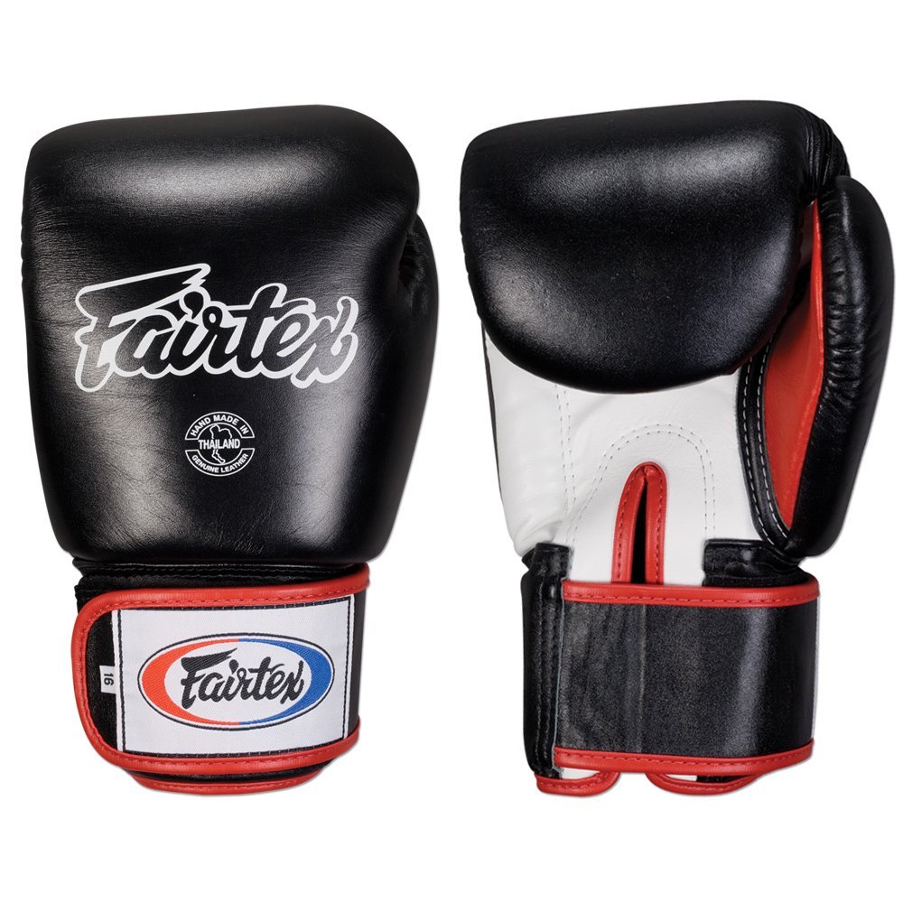 Fairtex Muay Thai Sytle Gloves